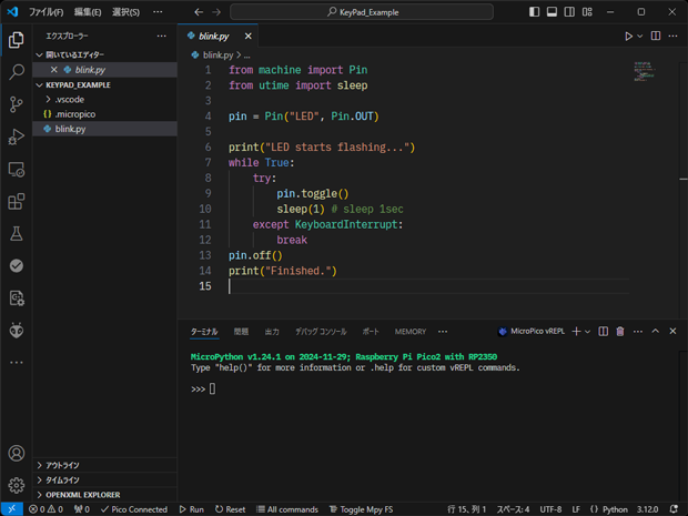 図6：MicroPythonプロジェクト作成直後の画面