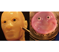 細胞由来の生きた皮膚を持つ顔型のロボットを開発　東京大学